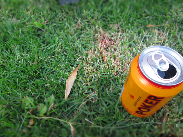 pivo, tráva, Příroda