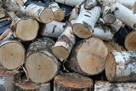 ログ, 木材, 自然, 自然, 木製, 堅材, ツリー