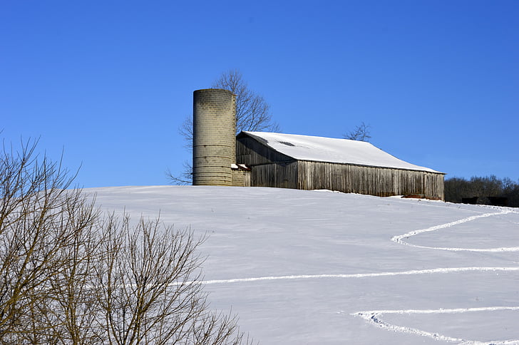 snø, silo, gården, himmelen, hvit, feltet, blå