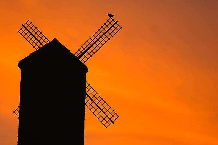 větrný mlýn, staré, pták, silueta, Západ slunce, večer, atmosféra