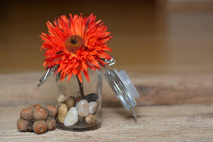 puķe, zieds, Bloom, mākslas ziedu, auduma ziedu, oranža, dekoratīvā stikla