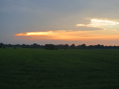 Sunset, græs, aften, Vista, Holland