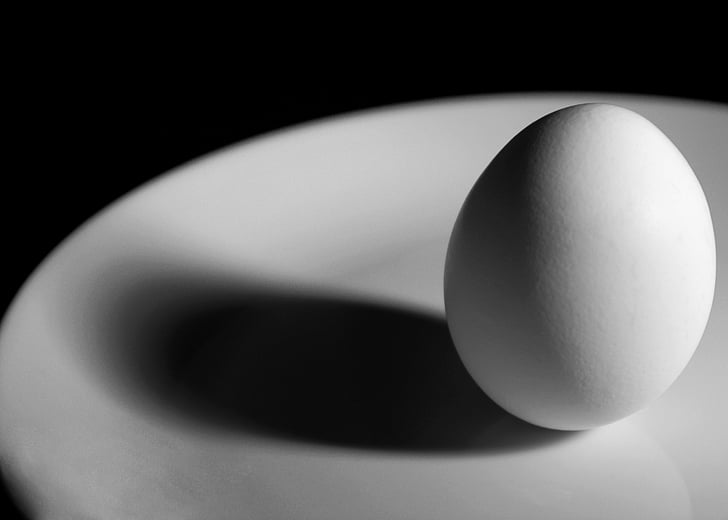 egg, breakfast, black and white, b w, shadow, plate, food