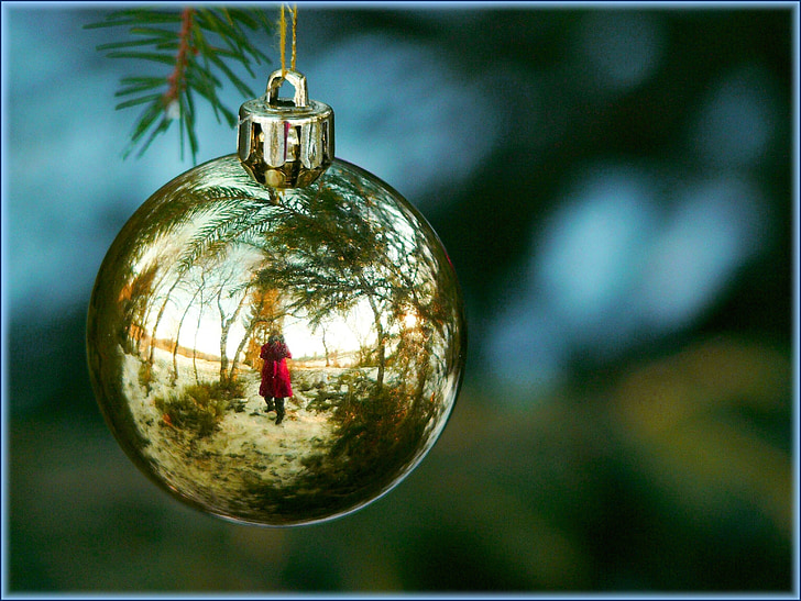 christmas decorations, christmas ornament, tree decorations, christmas, glaskugeln, pine needles, fir