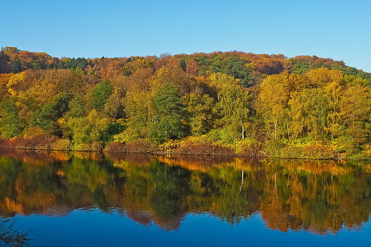 Jezioro, jesień, Natura, drzewa, krajobraz, lasu, Farbenspiel
