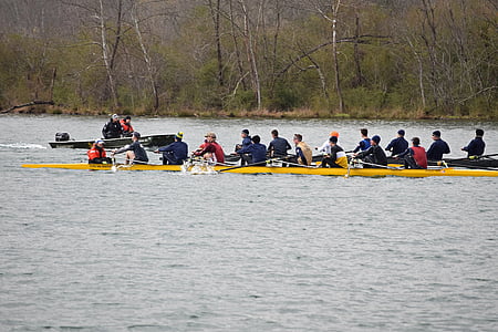 scull rowing, clinch river, tennessee, sport, mens, practice, water