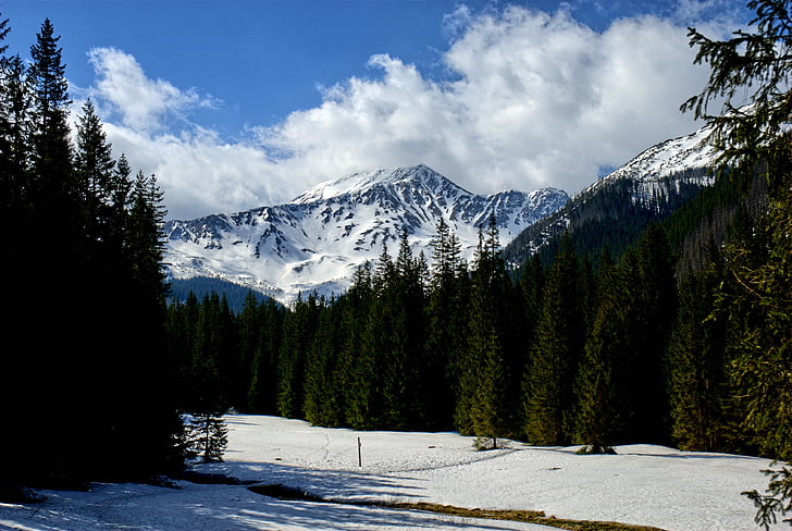 Tatry, Valle Kościeliska, invierno, primavera, Turismo, tatras occidentales, paisaje