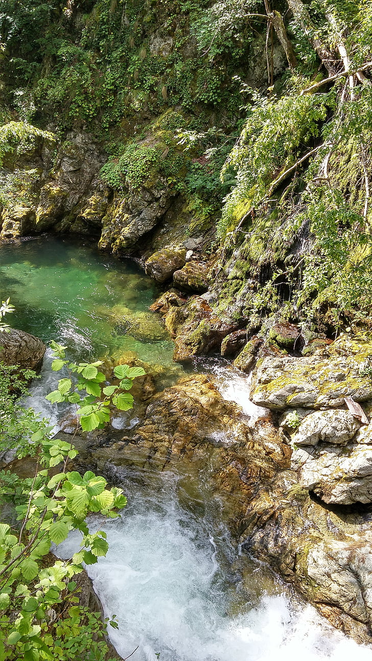 naturen, Bulgarien, Eco-trail, Stream, skogen, floden, vatten