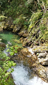natur, Bulgaria, Eco trail, Stream, skog, elven, vann