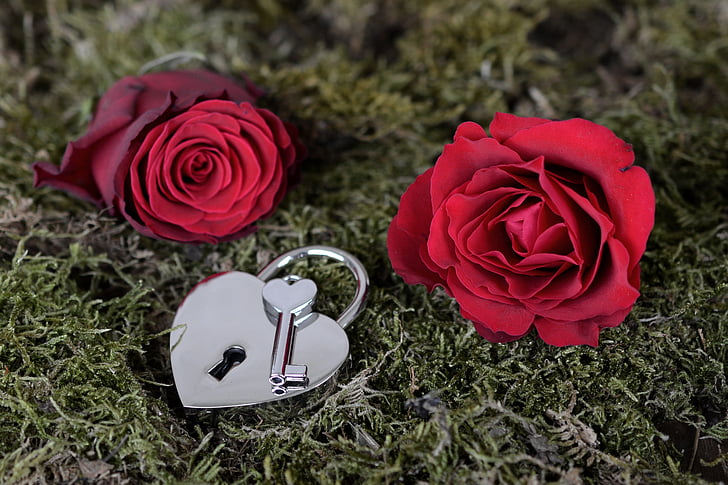 steg, hjerte, Castle, nøgle, åbne, rød, røde rose