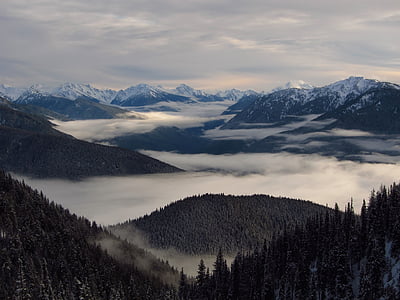 landscape, fog, olympic mountains, mist, countryside, forest, scenic