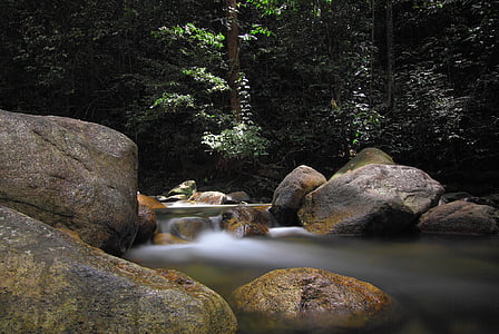 Stream, air, hijau, tanaman, pohon, batu, alam