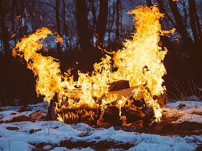 Bonfire, пламъци, дървен материал, логове, сняг, природата, на открито
