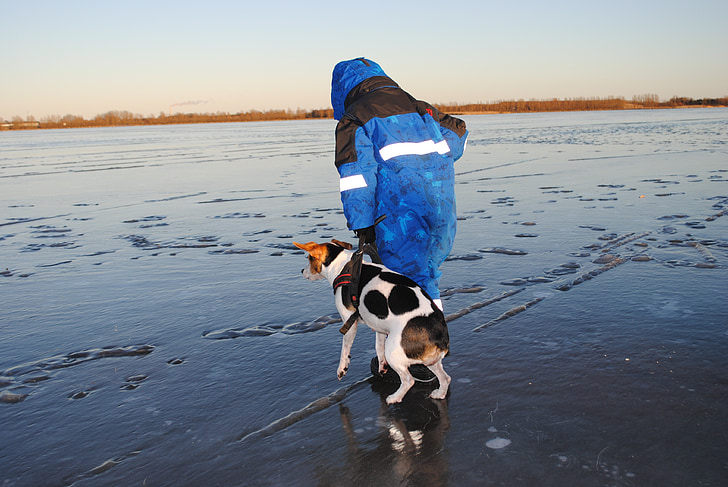 téli, kutya, fiú, fagylalt, tó, befagyott tó