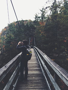 kaland, híd, láb híd, erdő, ember, természet, fotós