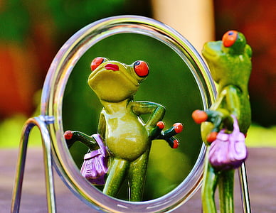 rana, espejo, imagen de espejo, espejado, lindo, gracioso, diversión