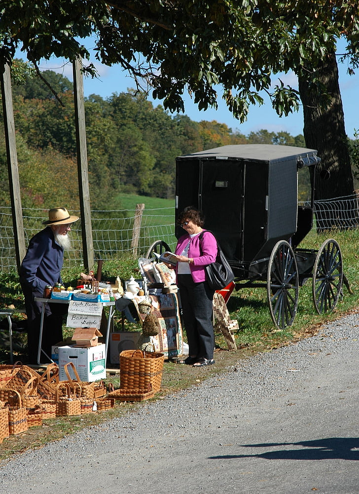 roadside seller, buggy, country, rural, amish, carriage, transportation