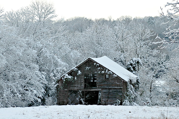 winter, snow, nature, wooden, barn