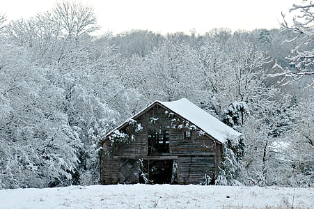 Inverno, neve, natureza, de madeira, celeiro