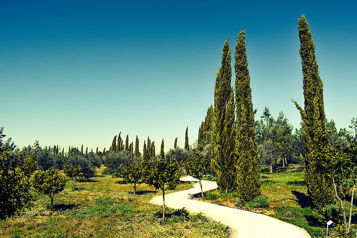 Cyprus, avgorou, Cypress, cyherbia, Botanische tuinen en doolhof, attractie, Tuin