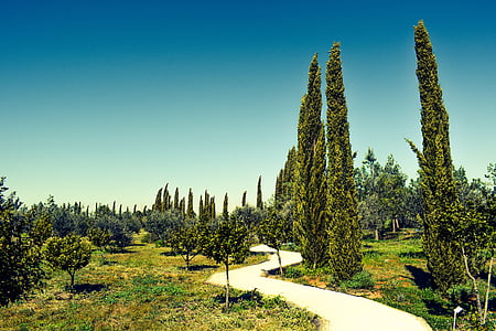 Chypre, Avgorou, cyprès, cyherbia, jardins botaniques et labyrinthe, attraction, jardin