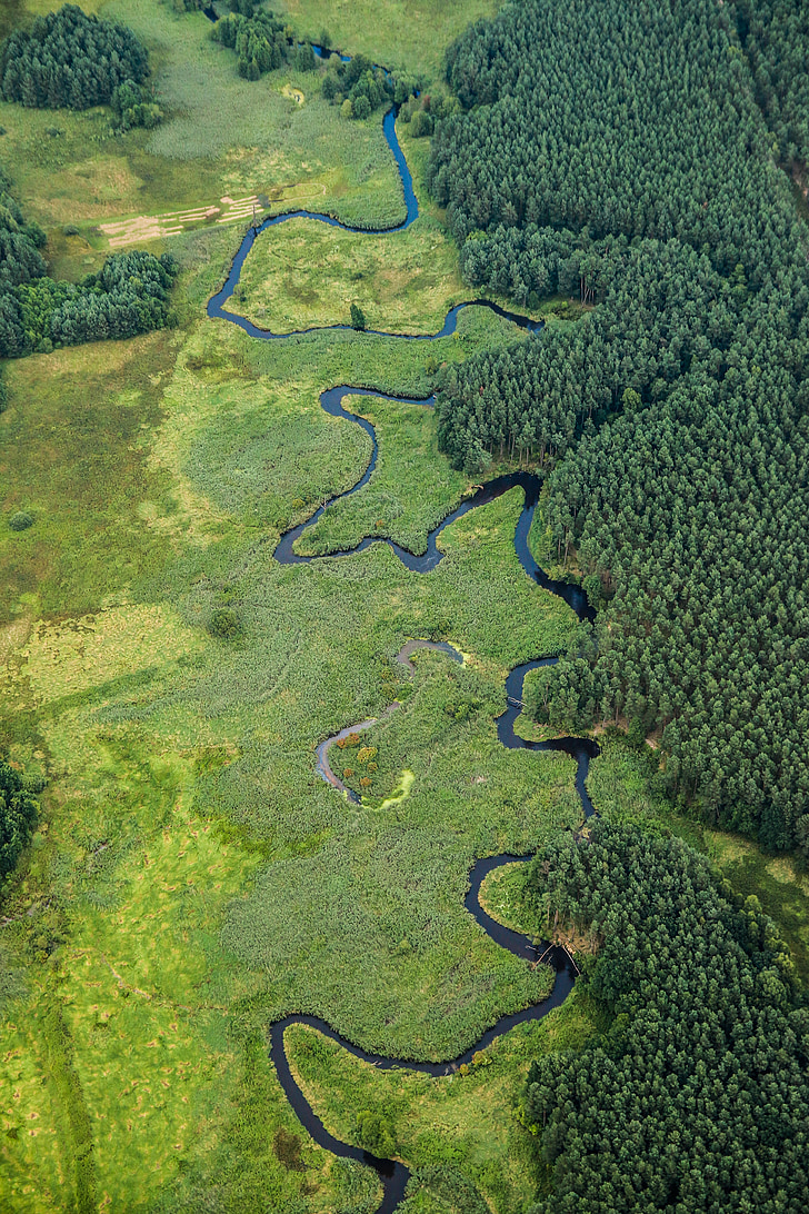 floden, landskap, naturen, grön, Polen, band, skogen