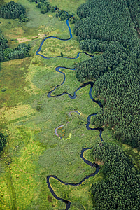 river, landscape, nature, green, poland, band, forest