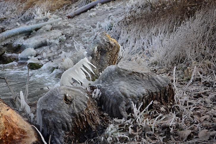 winter, frost, ice