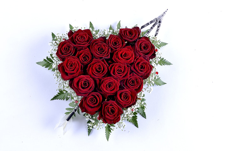 slējās, Rosa, sirds, Valentīna diena, puķe, ziedi, zaļa