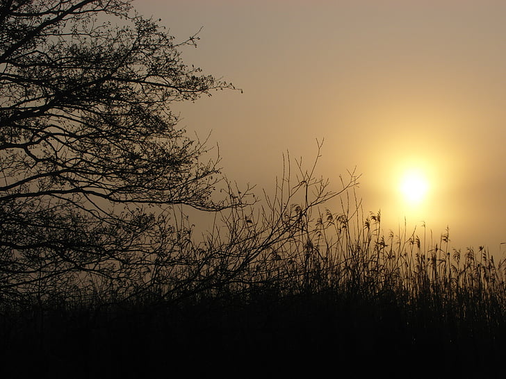 lever du soleil, nature, paysages