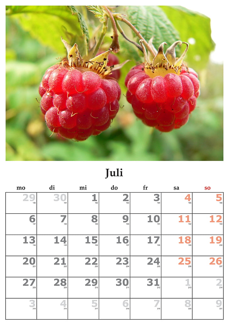 Kalendar, mjesec, Srpanj, srpnja 2015