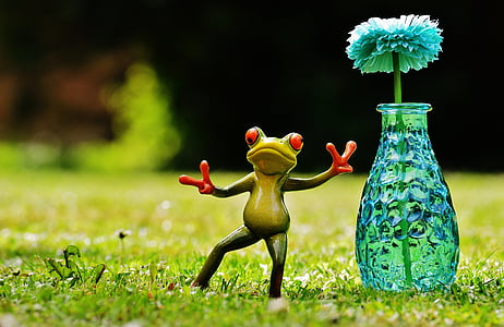 frog, gesture, peace, vase, flower, funny, cute