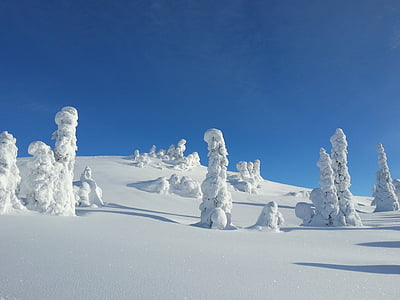 invierno, nieve, árboles, Noruega, Kvitfjell, frío, Fondo de invierno