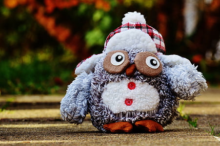 owl, autumn, winter, cap, funny, plush, cute