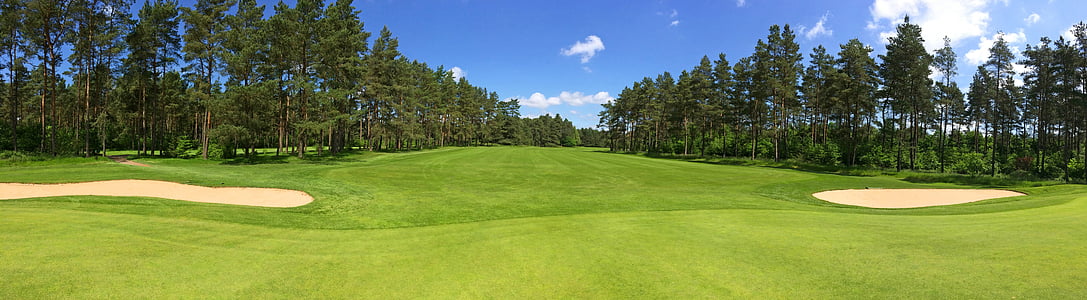 golf, green, fairway, forest, trees, golf-club worpswede, golf course