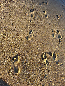 sand, footprints, mar, beach