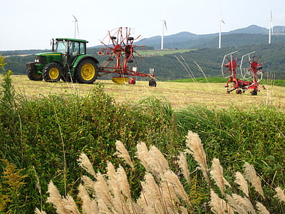 pasture, tractor, japanese pampas grass, agriculture