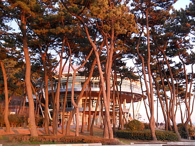 Dongbaek isla, suelo de Nuri, resplandor, madera, Playa de Haeundae, Busan, mar