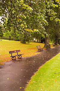 autumn, fall, foliage, bench, landscape, leaf, leaves