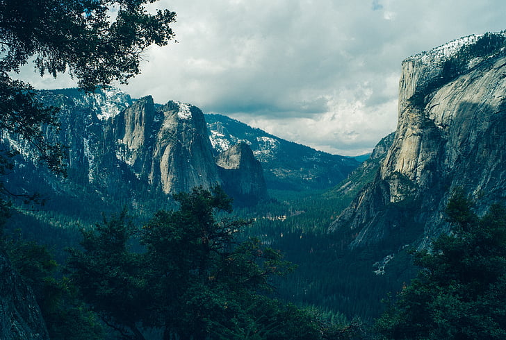 Yosemite, parku, Příroda, Národní, Kalifornie, cestování, Les