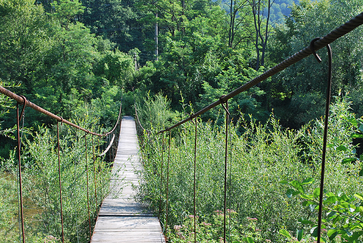 bridge, small river, suspension bridge, trail