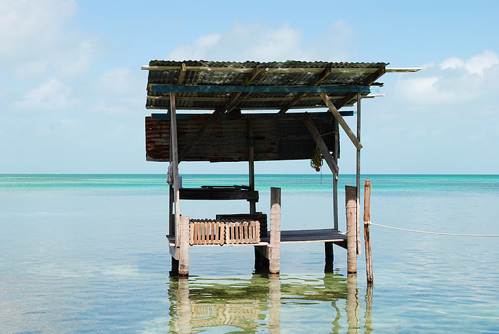 Belize, Cay caulker, Ambra, Centralamerika, ön, havet