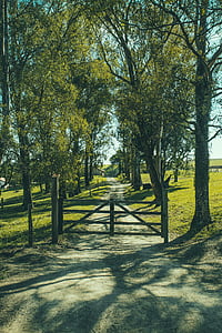polní cesta, Brána, cesta, venkova, stromy, licencované obrázky, Příroda