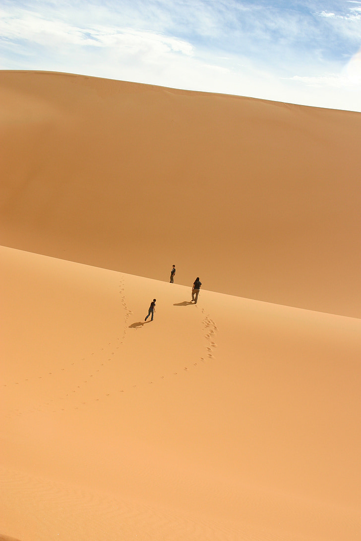 ørkenen, Sahara, Duna