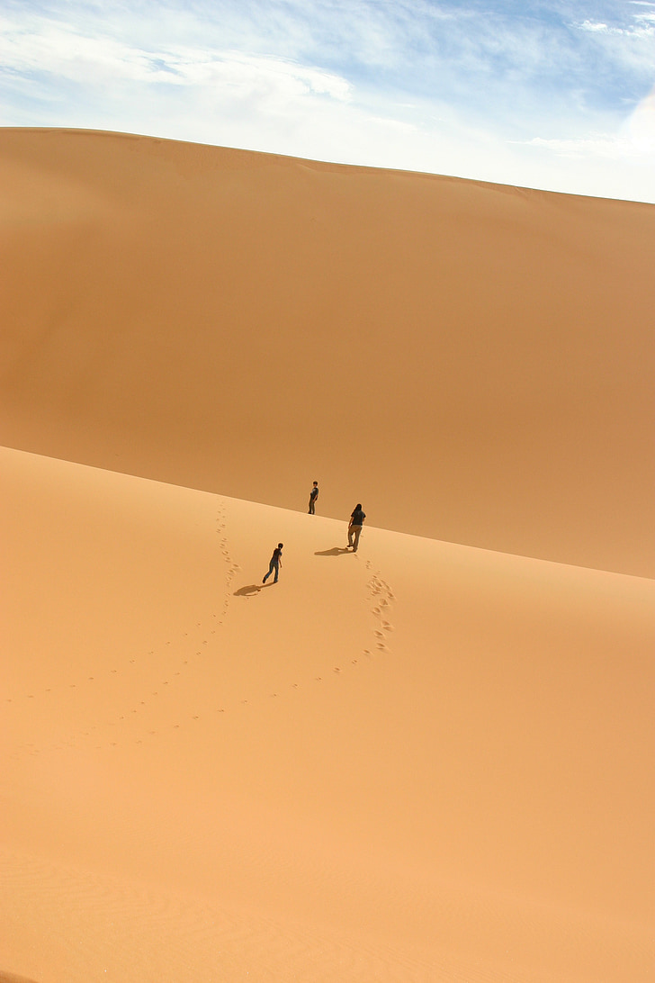 sa mạc, sa mạc Sahara, Duna