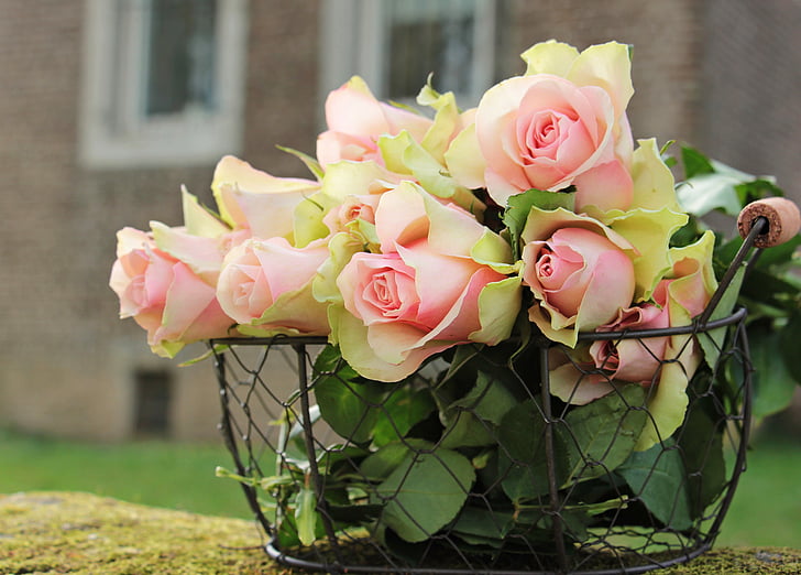 vrtnice, plemenito vrtnice, košara, Žična košara, cvetje, roza, roza vrtnice