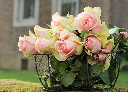 roses, noble roses, basket, wire basket, flowers, pink, pink roses