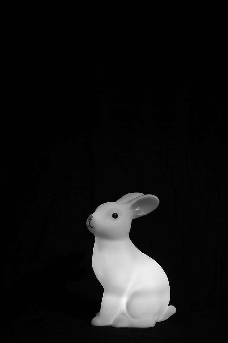 ánh sáng, thỏ, em bé, trắng, đồ chơi, màu đen và trắng