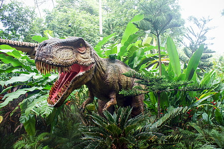 Singapūras zoo, Singapūras zoo rassic park, zooloģiskais dārzs, dinozaurs, daba, meža, koks