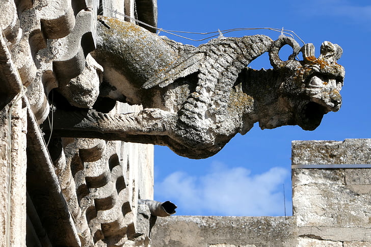 Gargoyle, Musée réattu, Arles, Francija, Grand priory, Red, spomenik